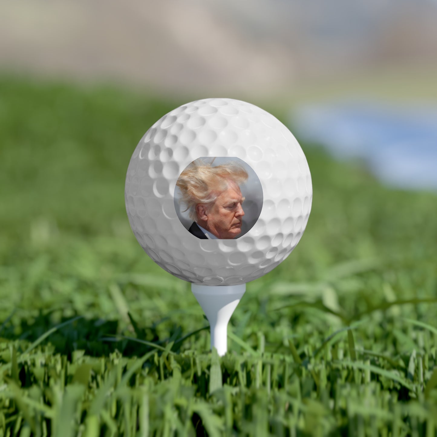 Presidential Golf ball set